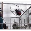 View the image: Olympus E-30