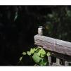 View the image: Olympus E-30