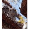View the image: OLYMPUS DIGITAL CAMERA