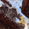 View the image: OLYMPUS DIGITAL CAMERA