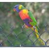 View the image: Olympus OM-D E-M1 MkII MILC