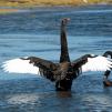 View the image: OLYMPUS DIGITAL CAMERA