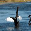 View the image: OLYMPUS DIGITAL CAMERA