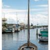 View the image: OLYMPUS E-510