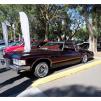 View the image: Beaumaris Concourse car show 13 Feb 2022