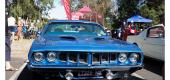 View the Album: Beaumaris Car Show 2022
 204 images