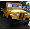 View the image: Beaumaris Concourse car show 13 Feb 2022