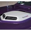 View the image: Beaumaris Concourse car show 13 Feb 2022