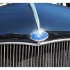 View the image: Beaumaris Concourse car show 13 Feb 2022