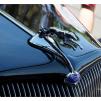 View the image: Beaumaris Concourse car show 13 Feb 2022