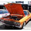 View the image: Beaumaris Concourse car show 13 Feb 2022