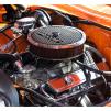 View the image: Beaumaris Concourse car show 13 Feb 2022