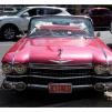 View the image: Beaumaris Concourse car show 13 Feb 2022