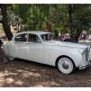 View the image: Beaumaris Concourse car show 13 Feb 2022