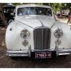 View the image: Beaumaris Concourse car show 13 Feb 2022