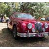 View the image: Beaumaris Concourse car show 13 Feb 2022