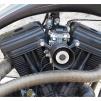 View the image: Beaumaris Concourse car show 13 Feb 2022