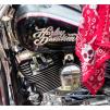 View the image: Beaumaris Concourse car show 13 Feb 2022