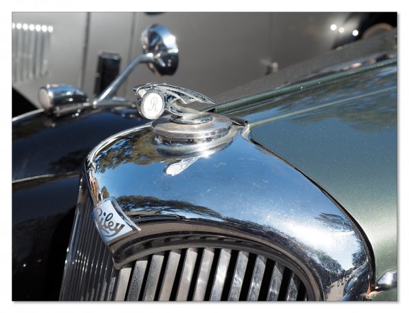 Riley bonnet emblem