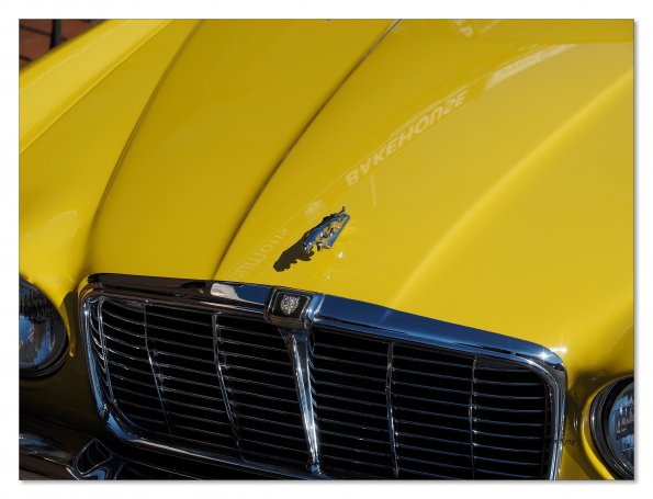 Jaguar - XJ6 bonnet emblem