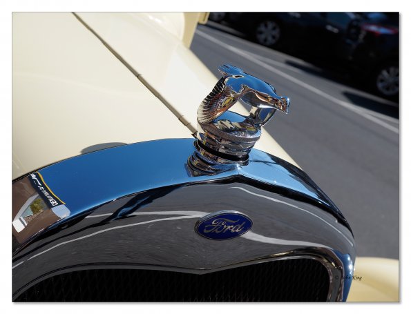 Ford bonnet emblem, flying swan