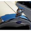 View the image: Ford bonnet emblem, flying swan