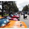 View the image: Car show at Beaumaris Concourse 11 Sep 2016