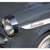 View the image: Singer Gazelle