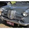 View the image: Singer Gazelle