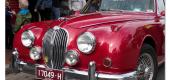 View the Album: Beaumaris Car show 2019
 91 images