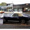 View the image: Beaumaris Concourse Car Show 12 Feb 2023