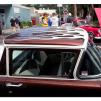 View the image: Beaumaris Concourse Car Show 12 Feb 2023