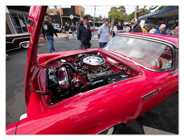 Beaumaris Concourse Car Show 12 Feb 2023