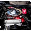 View the image: Beaumaris Concourse Car Show 12 Feb 2023