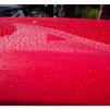View the image: Beaumaris Concourse Car Show 12 Feb 2023