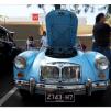 View the image: Beaumaris Concourse Car Show 12 Feb 2023