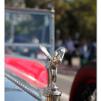 View the image: Olympus OM-D E-M1 MILC