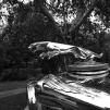 View the image: David Tingay's Mark V Jaguar