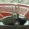 View the image: OLYMPUS DIGITAL CAMERA