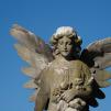 View the image: _M238127-77