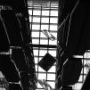 View the image: OLYMPUS E-1