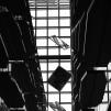View the image: OLYMPUS E-1