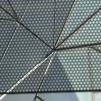 View the image: OLYMPUS DIGITAL CAMERA