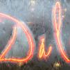 View the image: OLYMPUS DIGITAL CAMERA