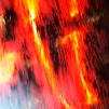 View the image: OLYMPUS DIGITAL CAMERA