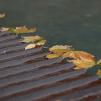 View the image: OLYMPUS DIGITAL CAMERA