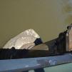 View the image: OLYMPUS DIGITAL CAMERA