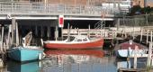 View the Album: mordialloc
 80 images