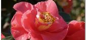 View the Album: FromWebDisk
 8 images