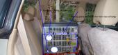 View the Album: fridge
 2 images